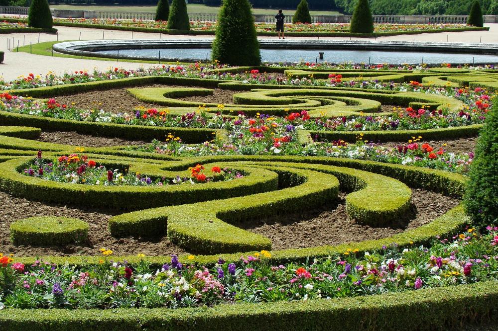 Barokkityylinen puutarha, muotoon leikattuja pensasaitoija, kukkia