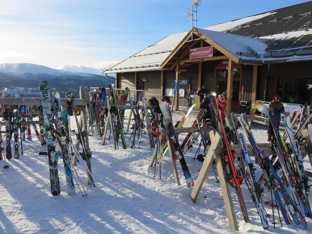 Lasketteluripari